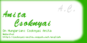 anita csoknyai business card